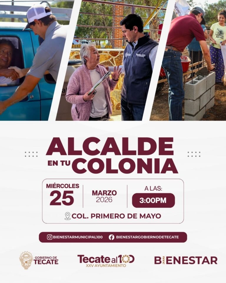 WhatsApp Image 2026-03-17 at 13.05.36