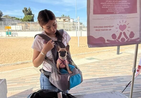 WhatsApp Image 2026-03-17 at 17.56.48 (2)