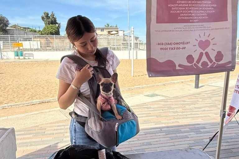 WhatsApp Image 2026-03-17 at 17.56.48 (2)