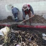 WhatsApp Image 2026-03-17 at 20.29.25