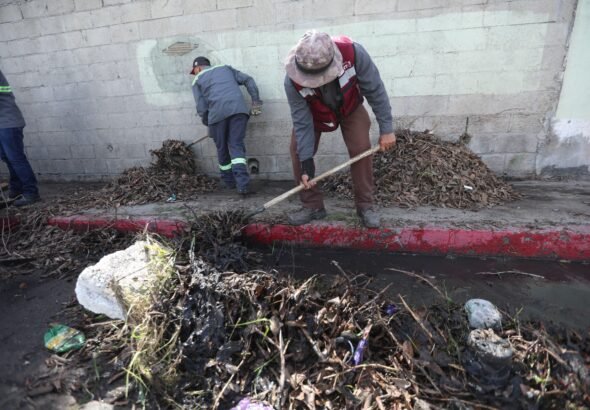 WhatsApp Image 2026-03-17 at 20.29.25