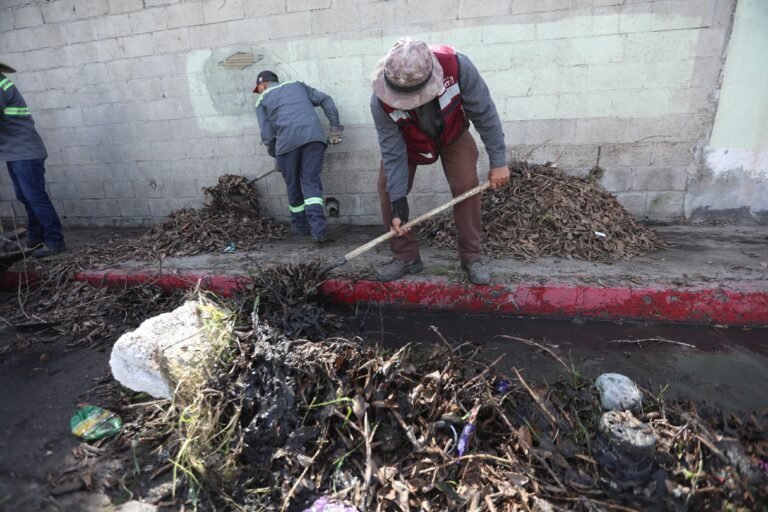 WhatsApp Image 2026-03-17 at 20.29.25