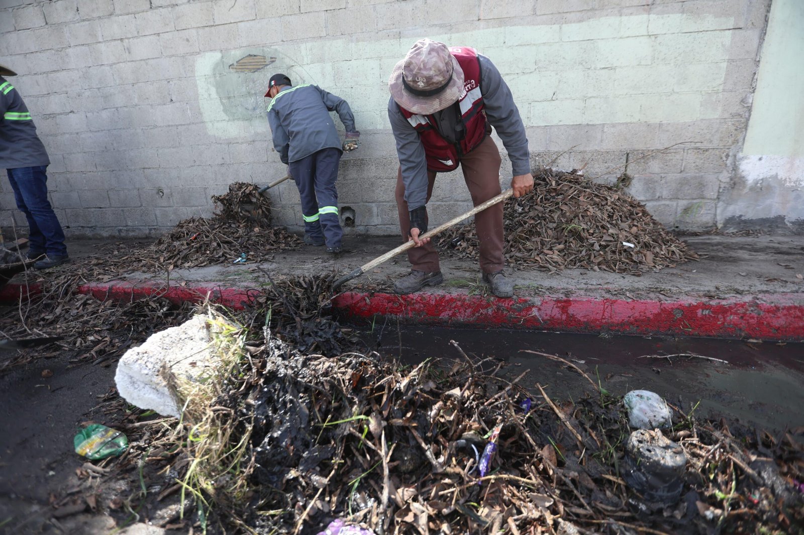 WhatsApp Image 2026-03-17 at 20.29.25