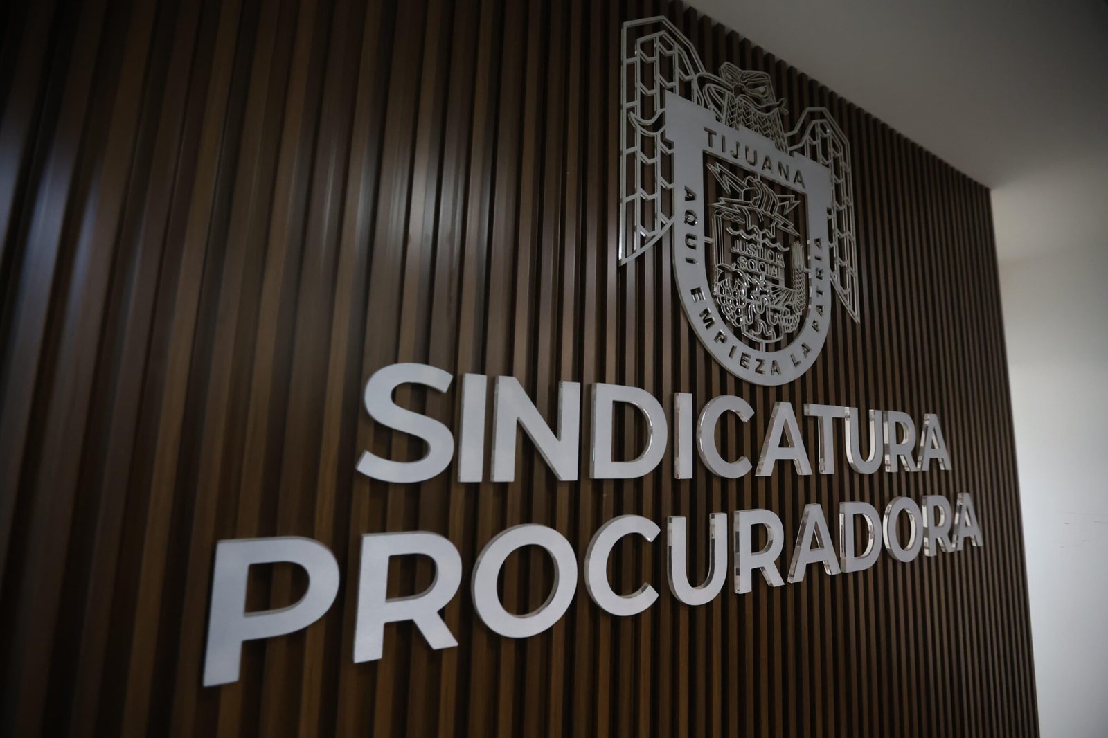 WhatsApp Image 2026-03-18 at 15.13.23 (1)