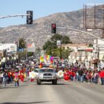 WhatsApp Image 2026-03-19 at 08.19.37