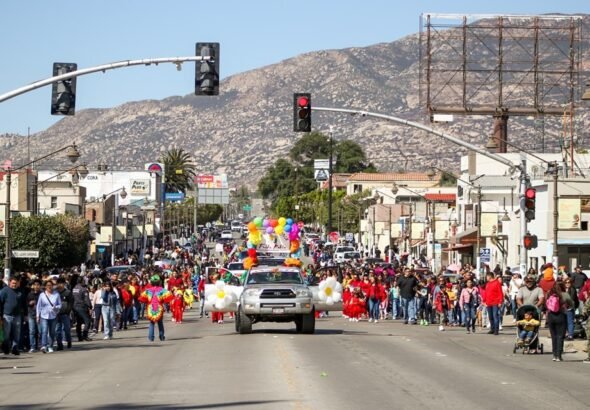 WhatsApp Image 2026-03-19 at 08.19.37