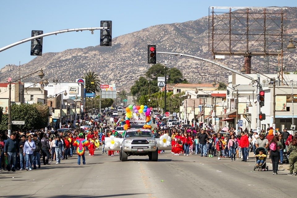 WhatsApp Image 2026-03-19 at 08.19.37