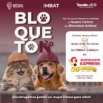 WhatsApp Image 2026-03-19 at 13.46.51