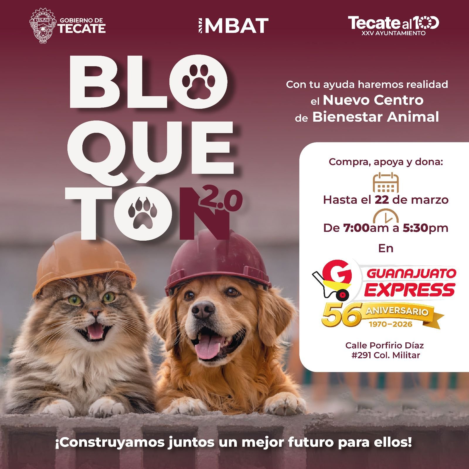 WhatsApp Image 2026-03-19 at 13.46.51