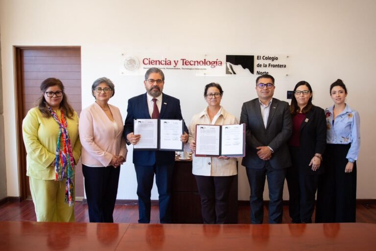 WhatsApp Image 2026-03-19 at 14.59.46