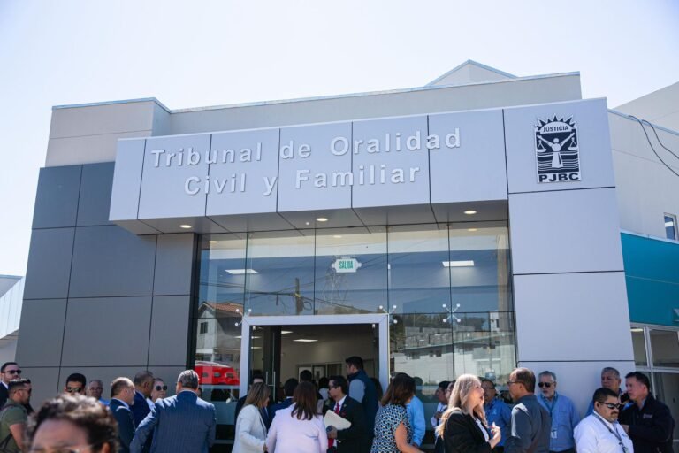 WhatsApp Image 2026-03-20 at 17.01.23