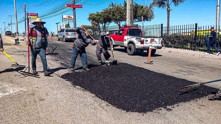 WhatsApp Image 2026-03-22 at 18.33.22