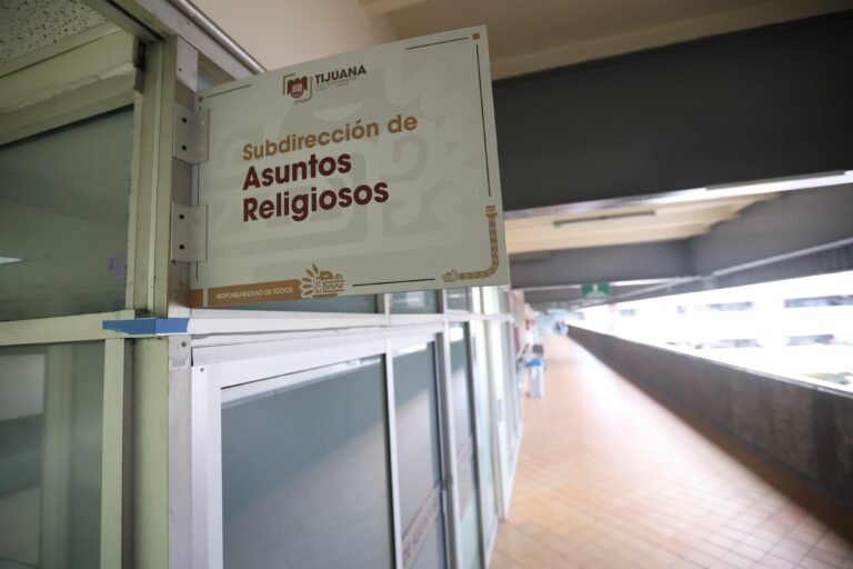 WhatsApp Image 2026-03-23 at 19.17.46