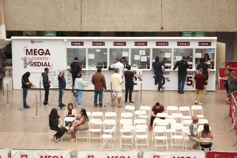 WhatsApp Image 2026-03-25 at 13.02.50