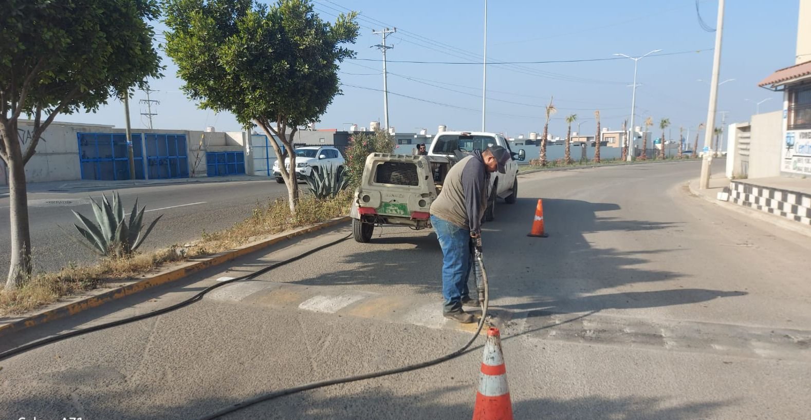 WhatsApp Image 2026-03-26 at 10.44.17