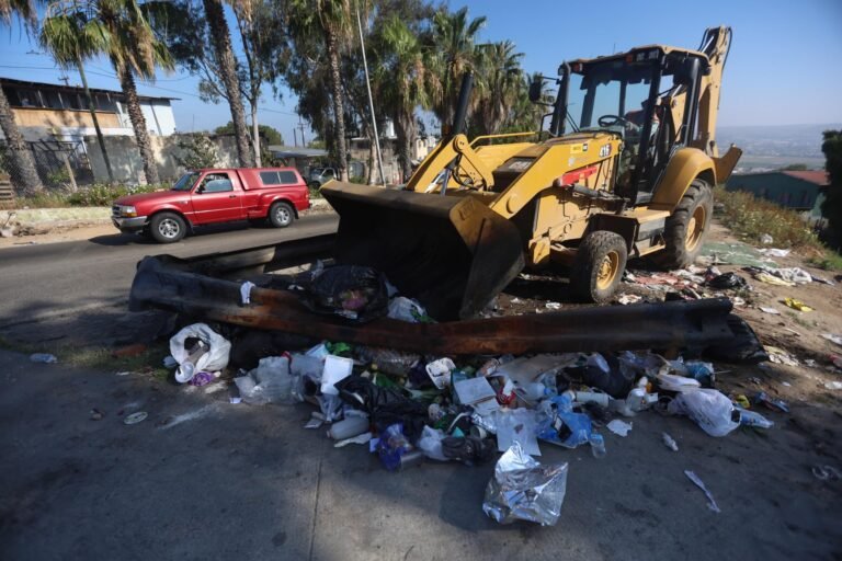 WhatsApp Image 2026-03-26 at 19.20.29