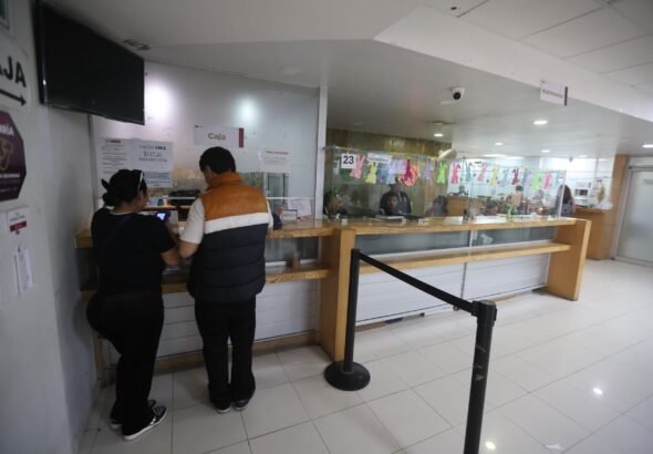 WhatsApp Image 2026-03-26 at 19.20.43