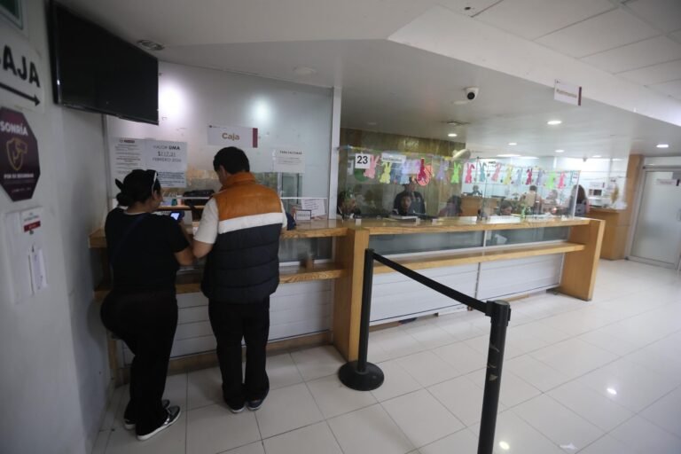 WhatsApp Image 2026-03-26 at 19.20.43