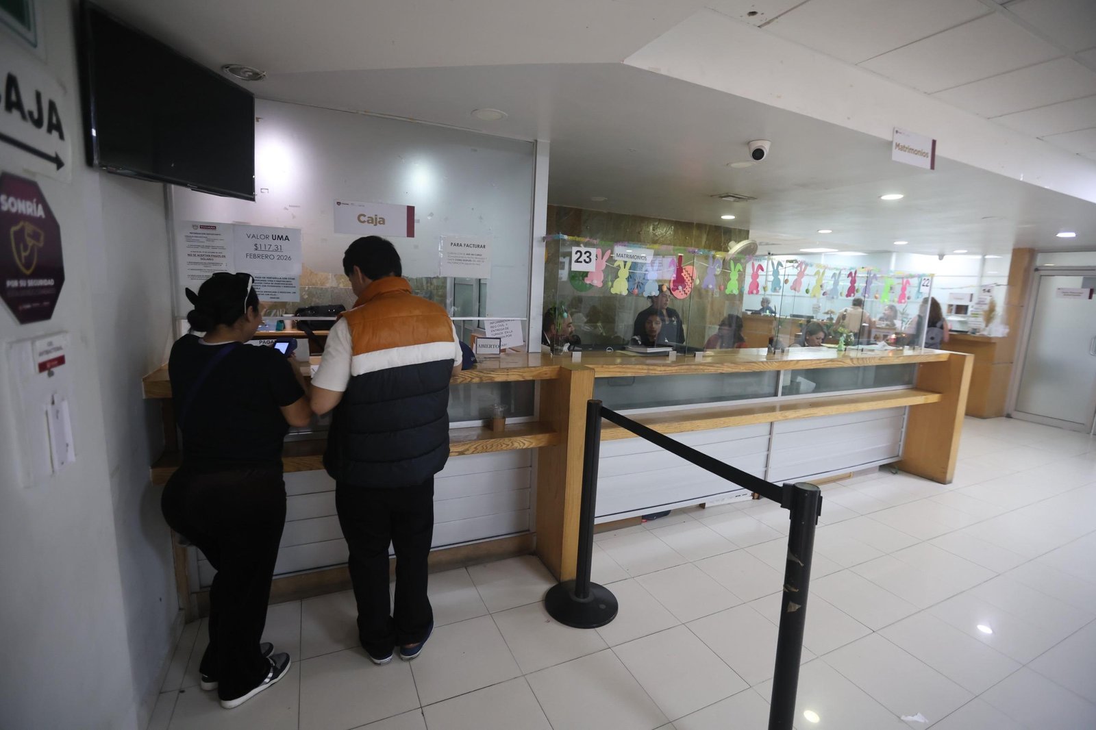 WhatsApp Image 2026-03-26 at 19.20.43