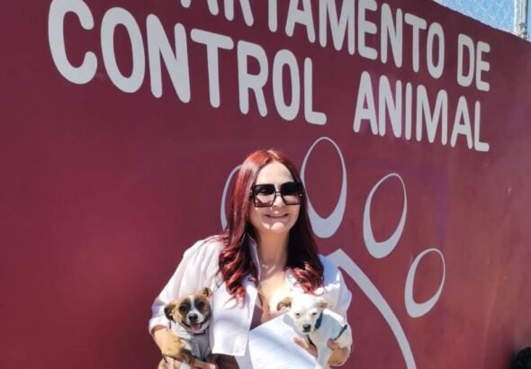 WhatsApp Image 2026-03-27 at 11.19.29 (1)