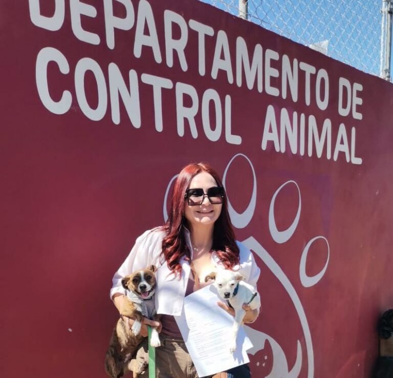 WhatsApp Image 2026-03-27 at 11.19.29 (1)