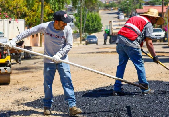 WhatsApp Image 2026-03-30 at 13.49.52