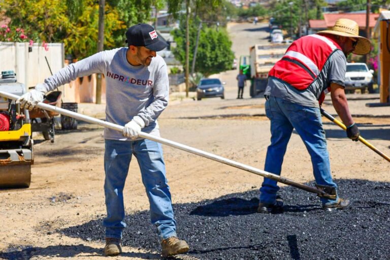 WhatsApp Image 2026-03-30 at 13.49.52