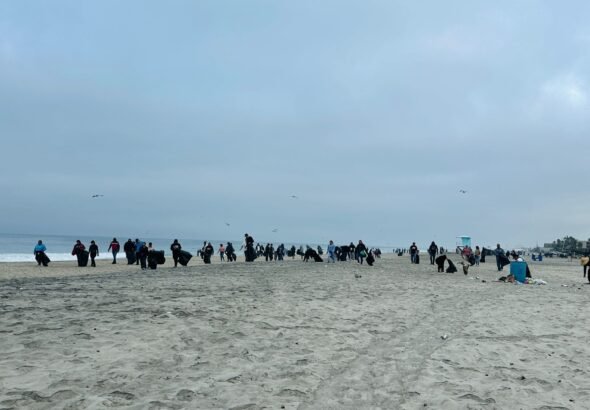 WhatsApp Image 2026-03-30 at 15.24.29 (1)