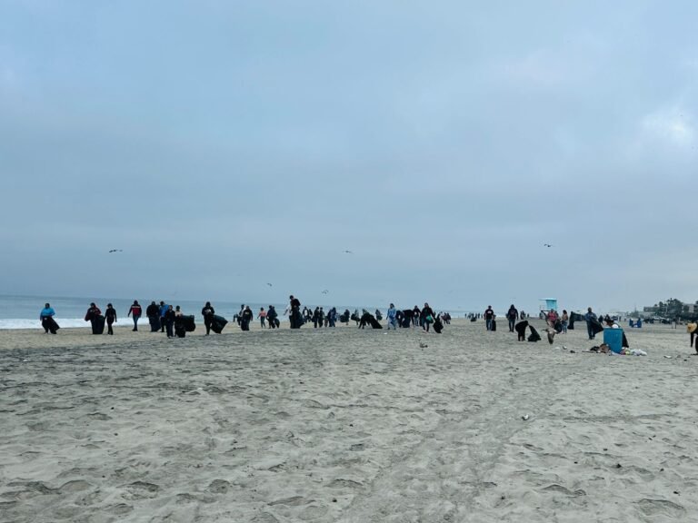 WhatsApp Image 2026-03-30 at 15.24.29 (1)