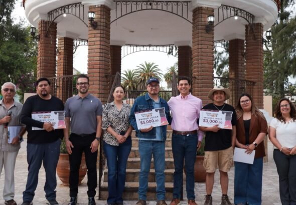 WhatsApp Image 2026-03-31 at 11.06.27 (3)