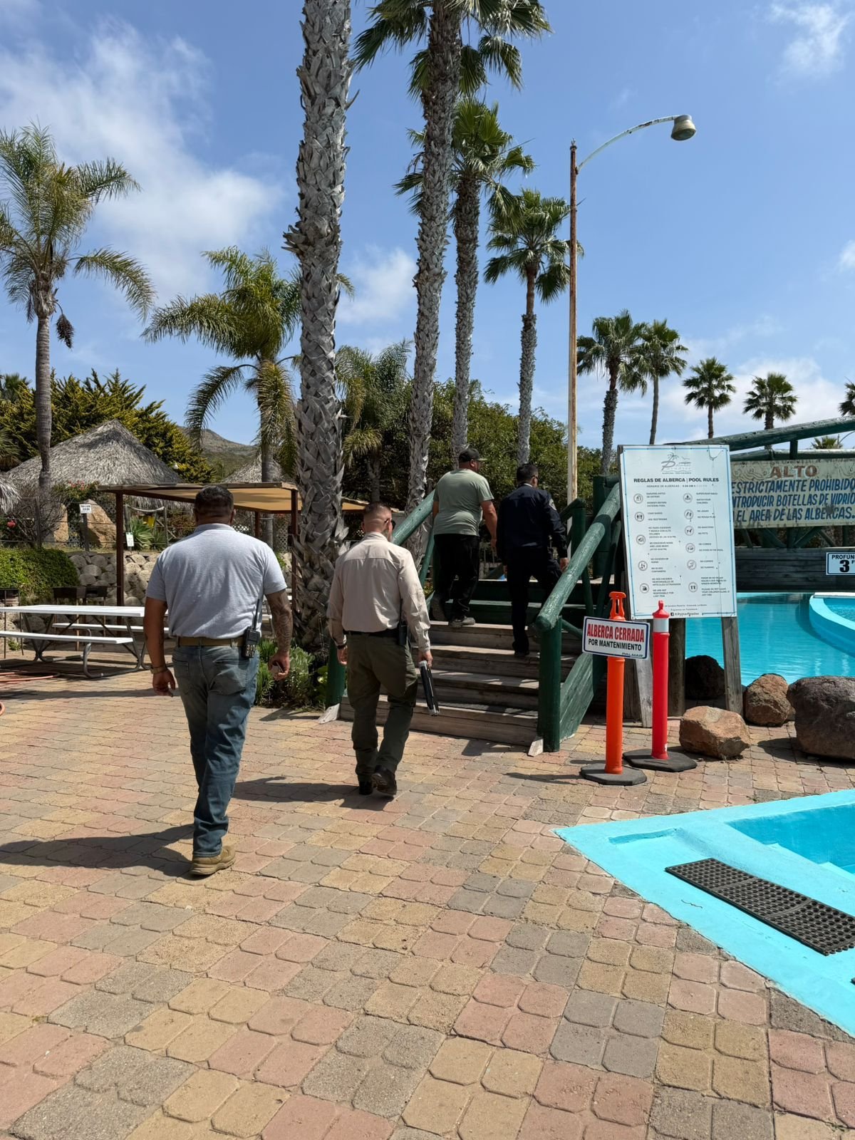 WhatsApp Image 2026-03-31 at 15.28.05