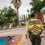 WhatsApp Image 2026-03-31 at 20.12.48