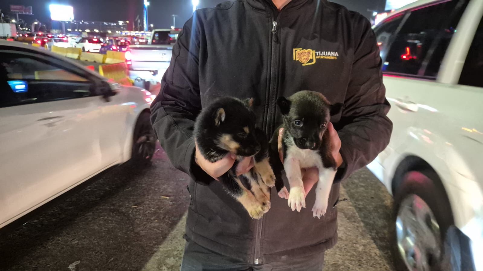 WhatsApp Image 2026-03-31 at 20.13.36