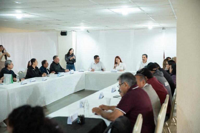 WhatsApp Image 2026-04-01 at 14.16.43