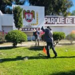 WhatsApp Image 2026-04-01 at 14.18.21