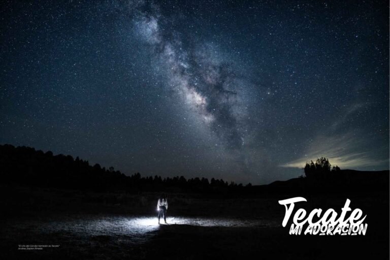 WhatsApp Image 2026-04-01 at 15.55.23