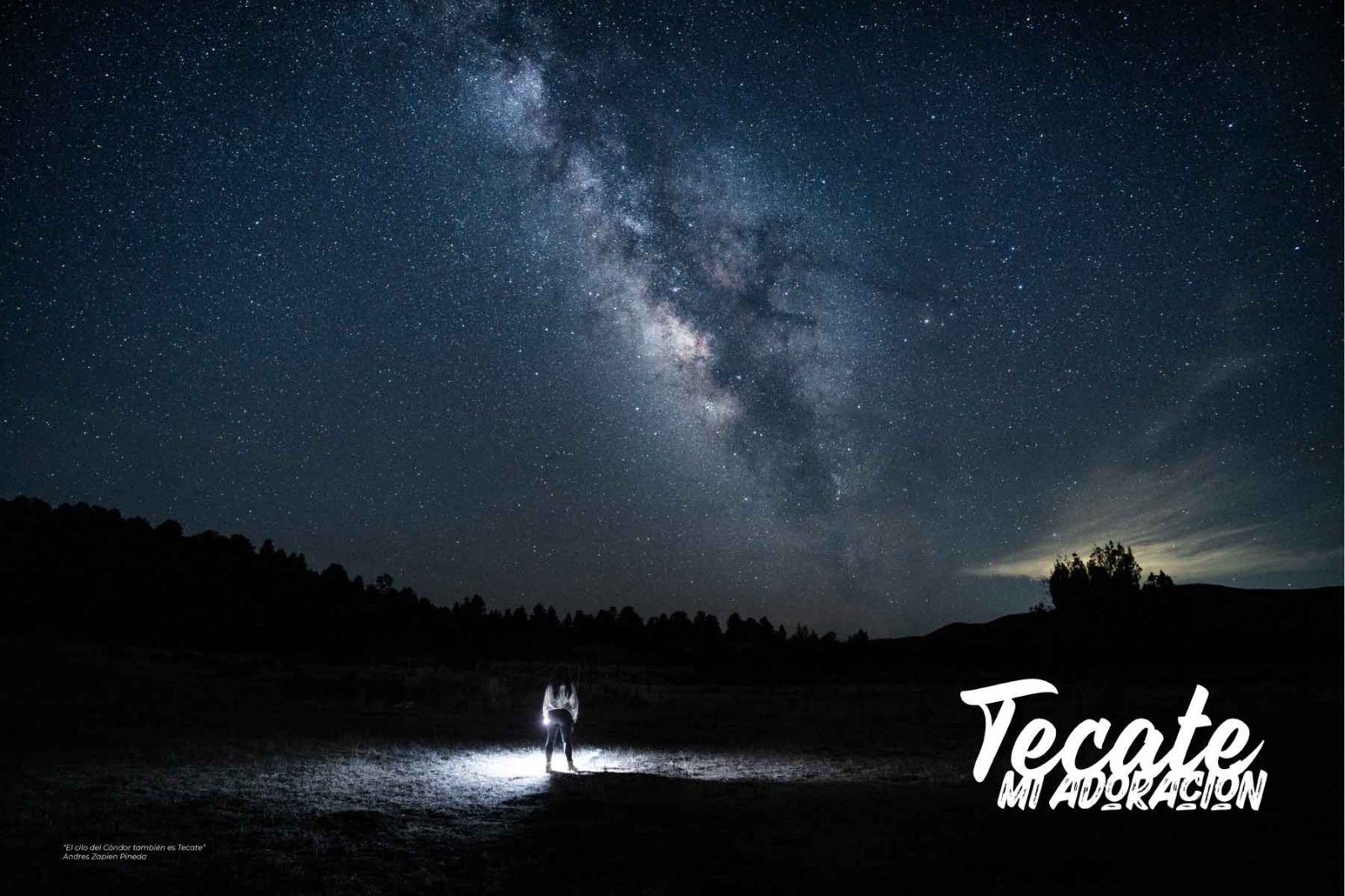 WhatsApp Image 2026-04-01 at 15.55.23