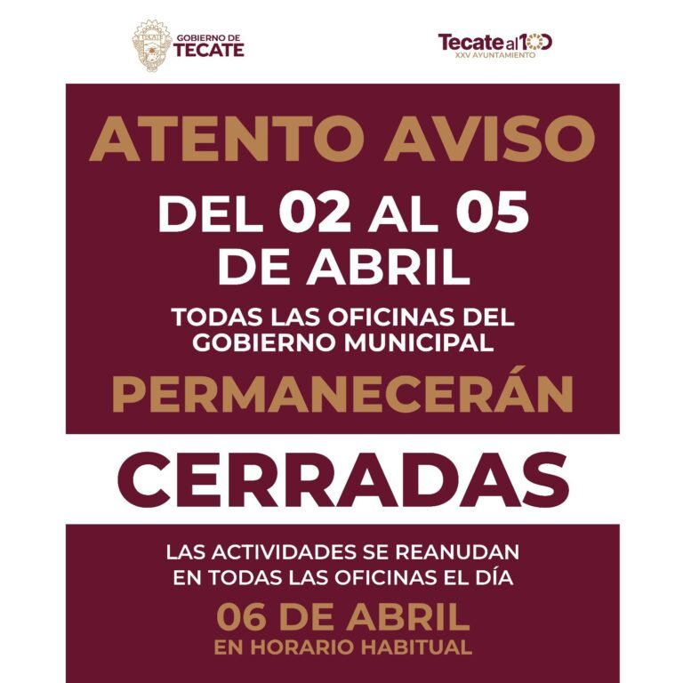 WhatsApp Image 2026-04-01 at 15.55.37