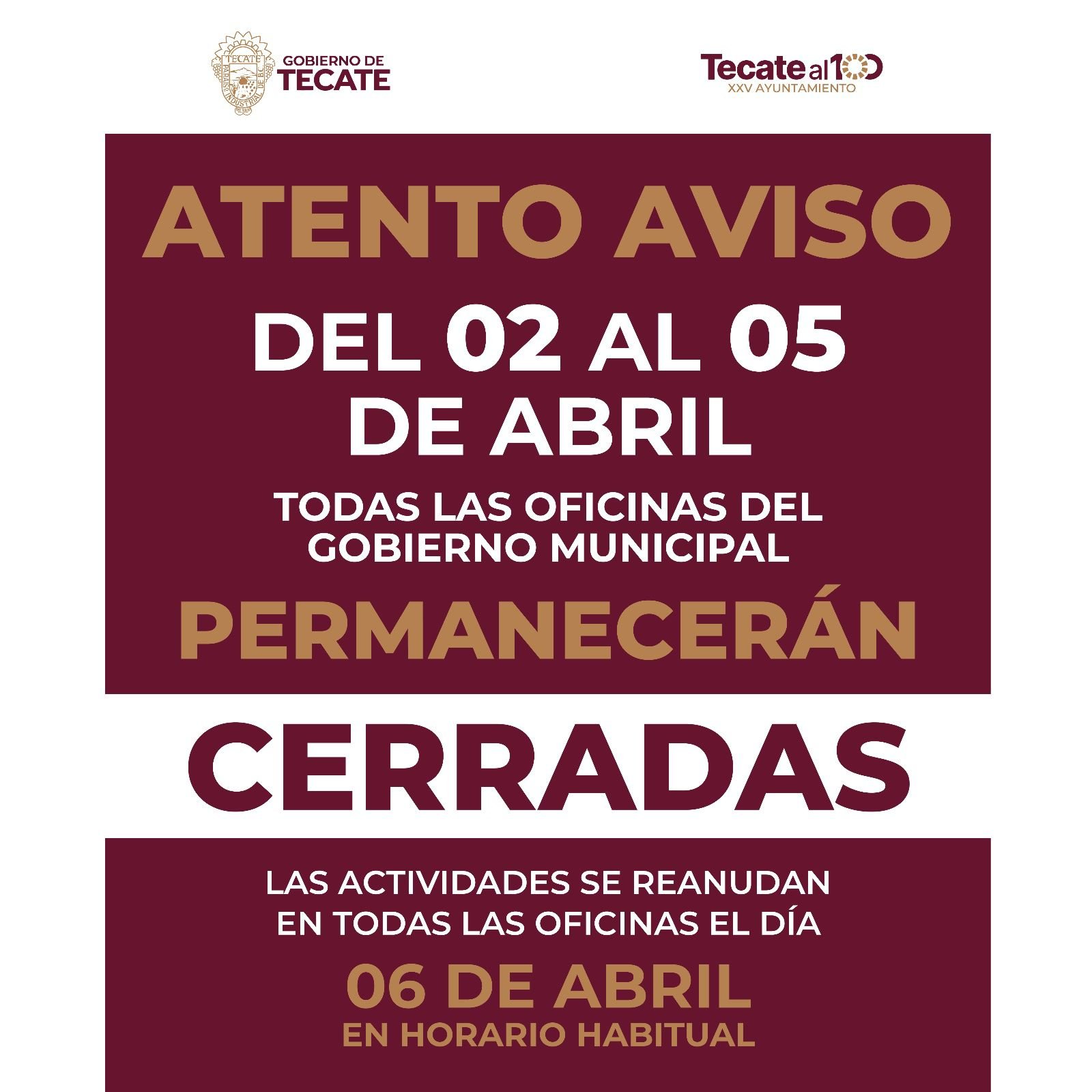 WhatsApp Image 2026-04-01 at 15.55.37