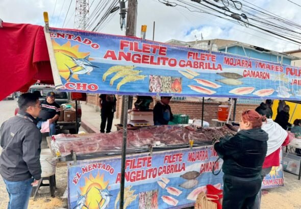 WhatsApp Image 2026-04-03 at 13.43.55