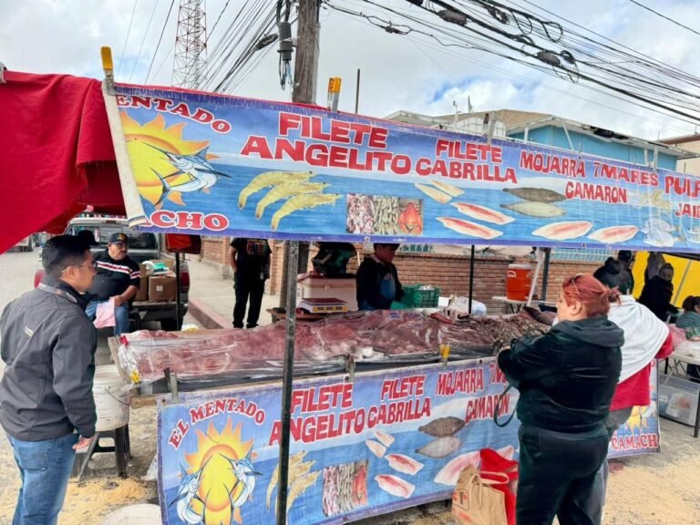 WhatsApp Image 2026-04-03 at 13.43.55