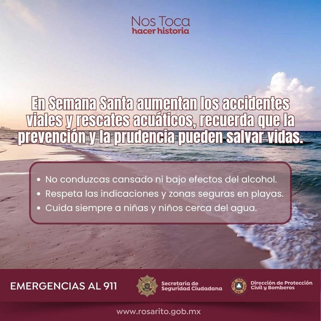 WhatsApp Image 2026-04-04 at 14.42.06