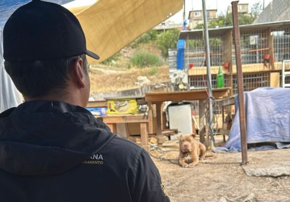 WhatsApp Image 2026-04-06 at 08.59.16