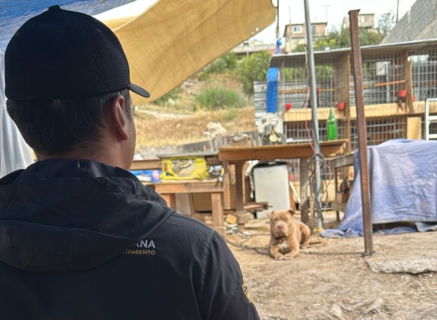 WhatsApp Image 2026-04-06 at 08.59.16