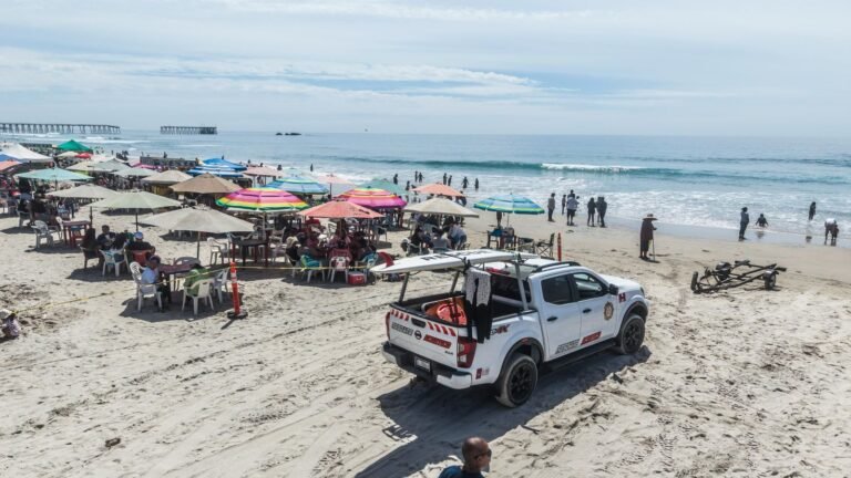 WhatsApp Image 2026-04-06 at 10.06.15