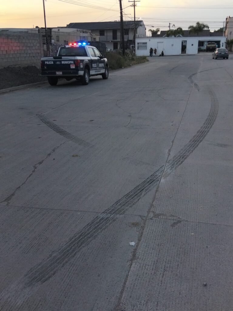 WhatsApp Image 2026-04-06 at 12.27.54