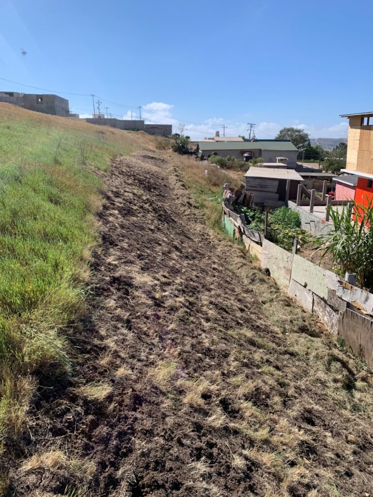 WhatsApp Image 2026-04-07 at 10.29.03 (2)