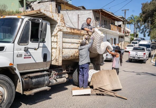 WhatsApp Image 2026-04-08 at 07.49.51 (1)