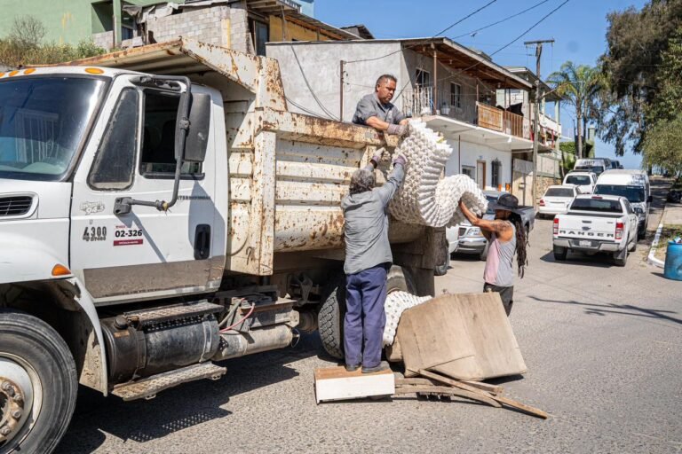 WhatsApp Image 2026-04-08 at 07.49.51 (1)