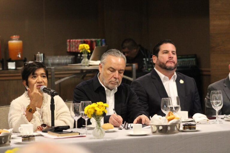 WhatsApp Image 2026-04-08 at 15.11.55